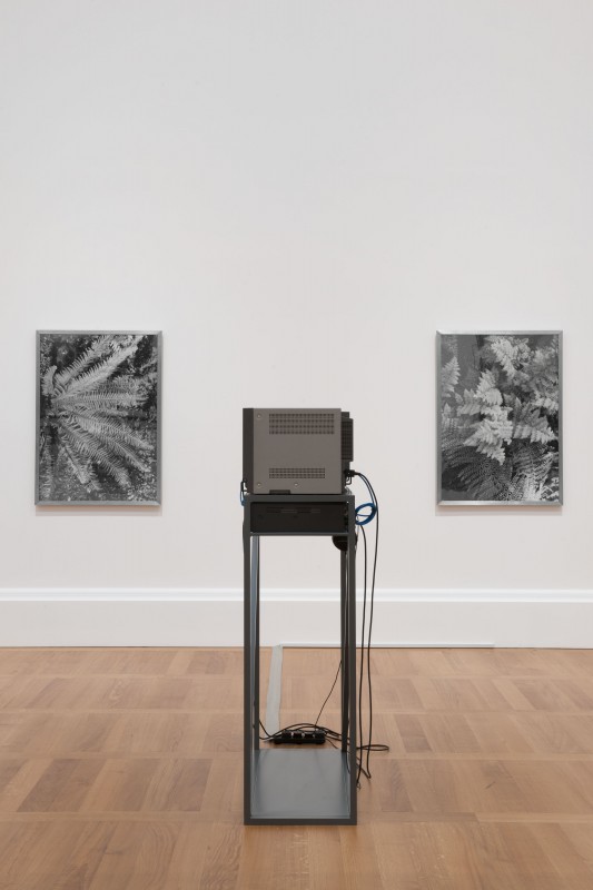 THE BLOCK – Eloise Hawser, Katrina Palmer, Yuri Pattison, Charlotte Prodger: The Weight of Data at Tate Britain. 2015/05/18 – 2015/10/25